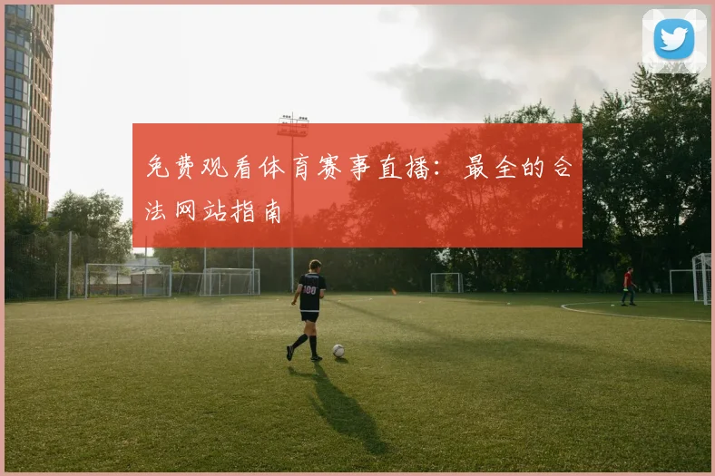 免费观看体育赛事直播：最全的合法网站指南